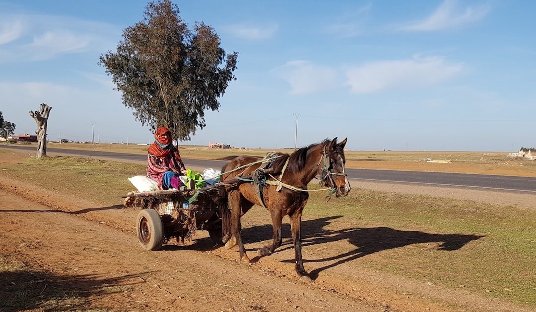 Diário de viagem V: Dos mexilhões à alta tecnologia (e um banho de mar, brrrrr…)