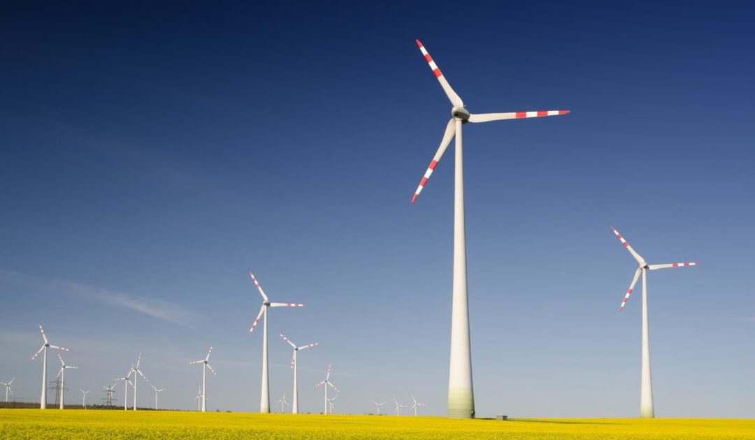 Respeito pelo meio ambiente pode gerar lucro e emprego