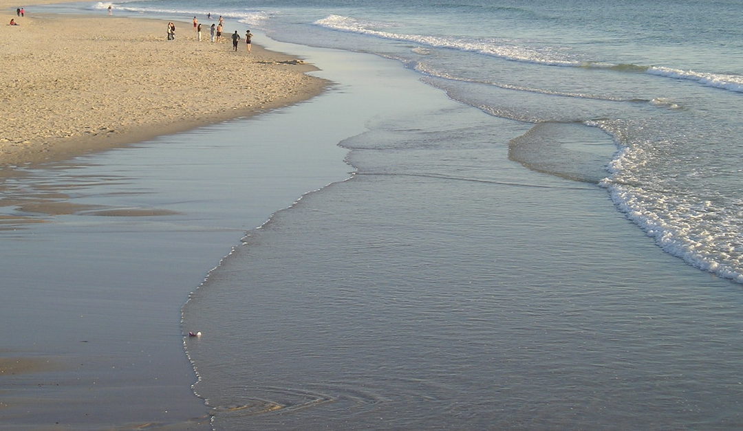 Limpar uma praia porque o planeta está em jogo