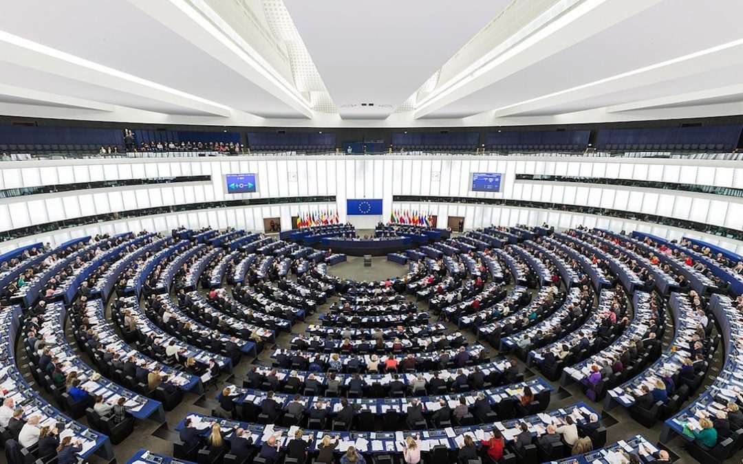 Combater visões exclusivistas nacionais – candidatos respondem ao 7MARGENS