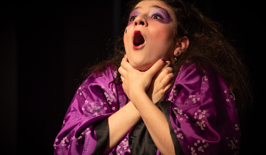 Teatro: À espera de um jogo de espelhos em Goga