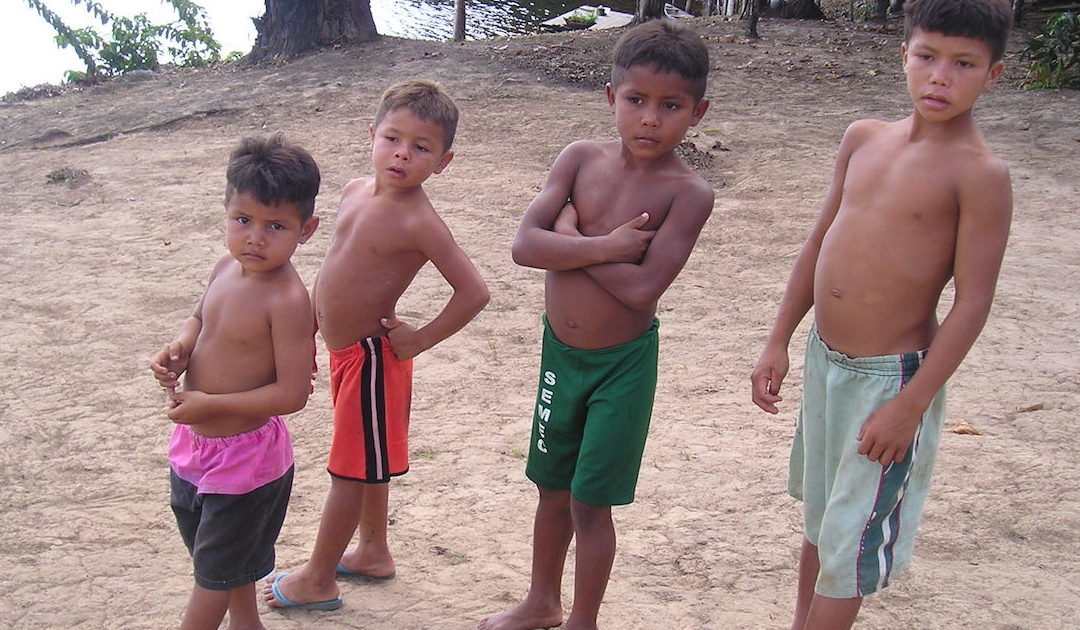 Cada vez mais “sinais de morte” no Brasil a ameaçar os “mais vulneráveis”, denunciam bispos católicos