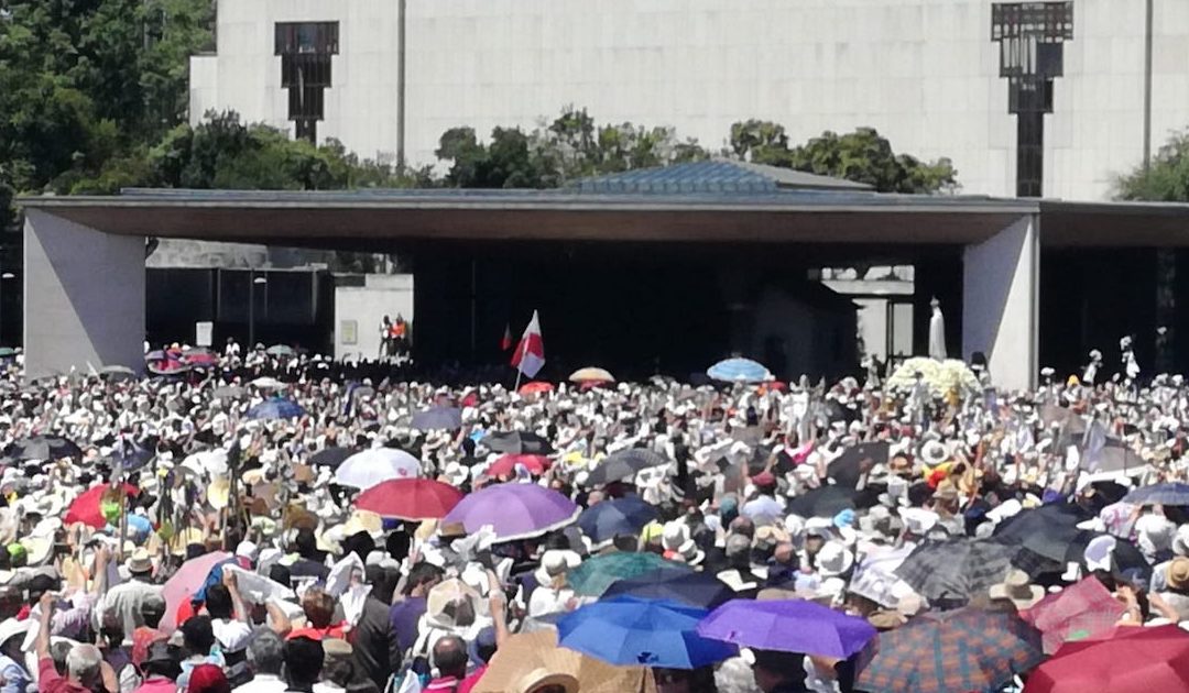 Televisão: Fátima vence Cristina