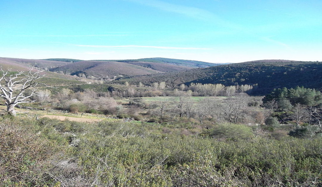Música na Paisagem de Montesinho