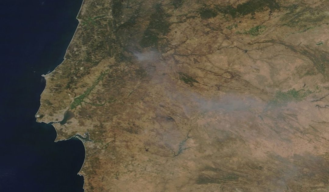 Fogos em Mação: bispo de Portalegre quer “ajudar” populações