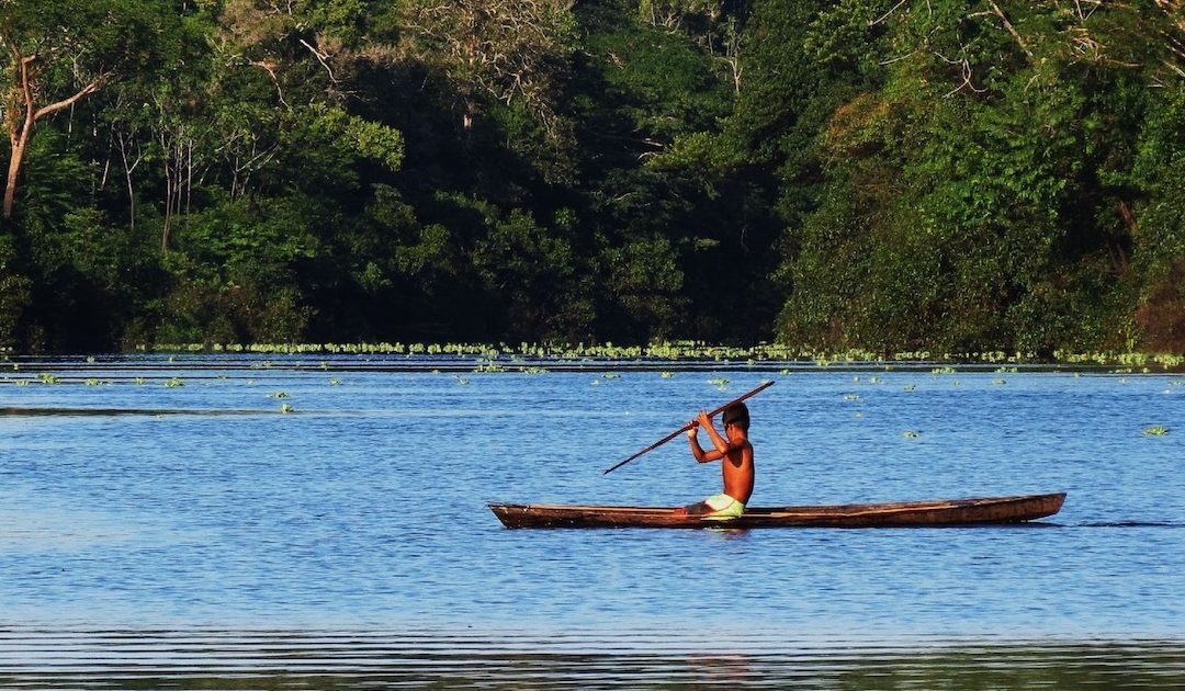 “Novos caminhos para a Igreja e para a ecologia integral”