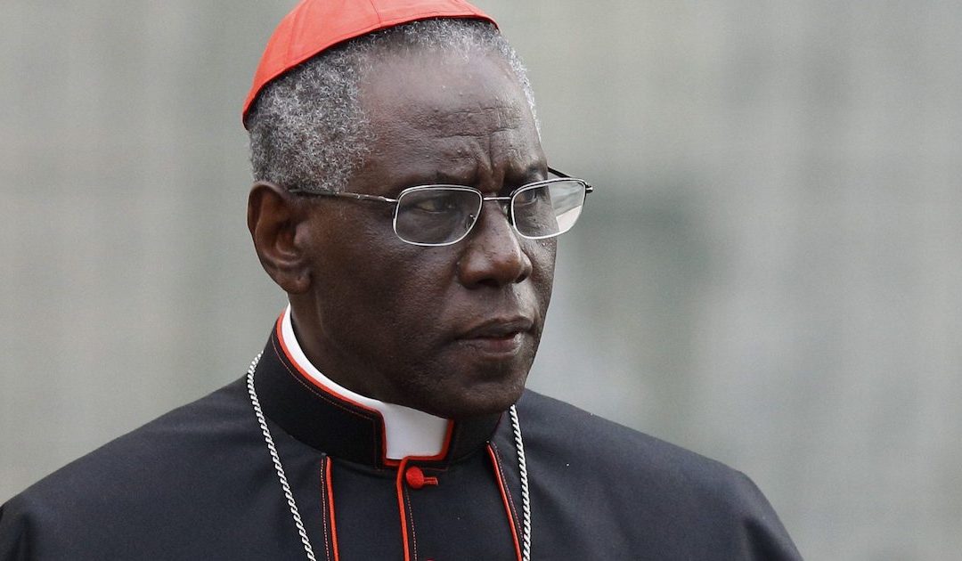 Cardeal Sarah: Opor-se ao Papa é estar fora da Igreja