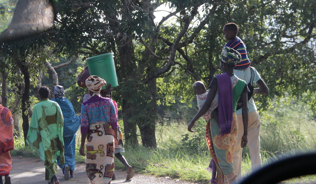 Grupos armados matam quatro pessoas no Norte de Moçambique