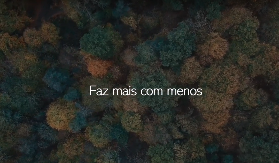 “Pequenos passos” para despertar consciências contra a “black friday”