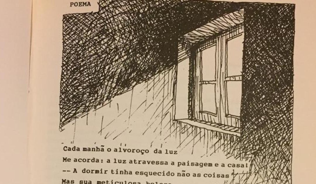 Cada manhã o alvoroço da luz – um (quase) inédito de Sophia