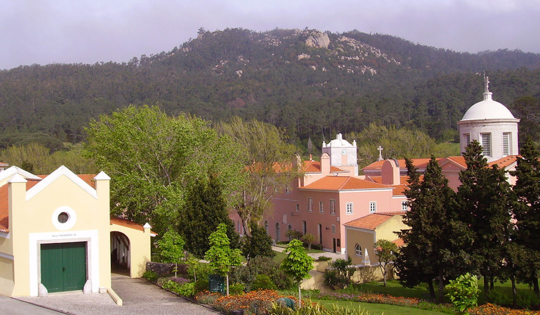 110 bispos juntam-se em Sintra convocados por críticos do Papa