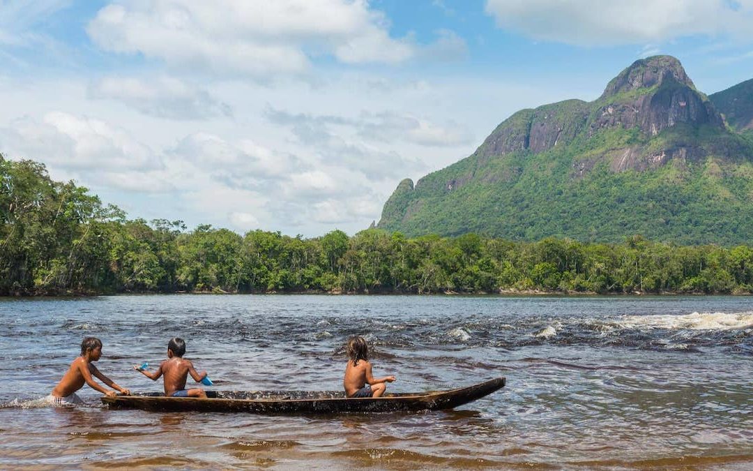 “Tragédia brasileira: risco para a casa comum?”