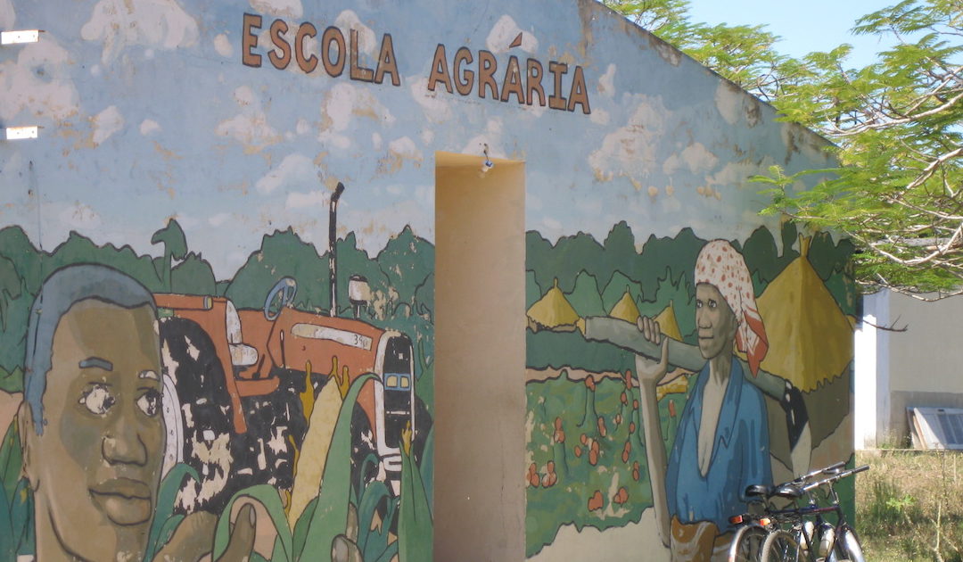ONU: acções terroristas em Moçambique “são planeadas” a partir do exterior
