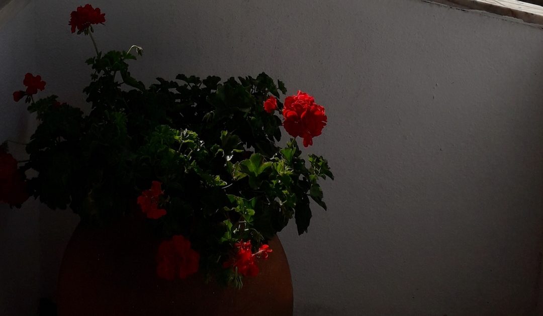Diários de quarentena (4): Uma sensação de espera, o espaço público vazio…