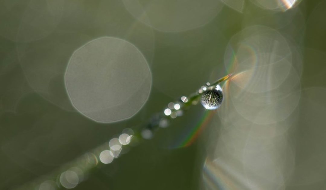 Diários de quarentena (28): Como pequenas gotas…; e Juntos somos nós