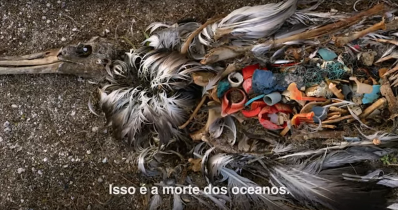 Vídeo do Papa - preservação dos oceanos