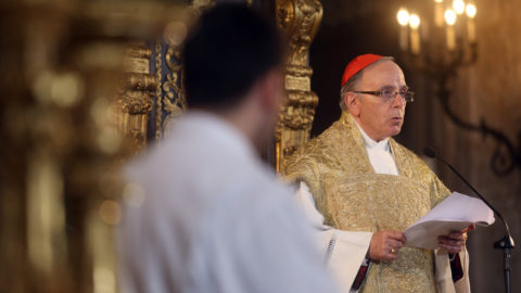 Patriarca emérito homenageado na Sé de Lisboa e na Universidade Católica Patriarca de Lisboa. Manuel Clemente.
