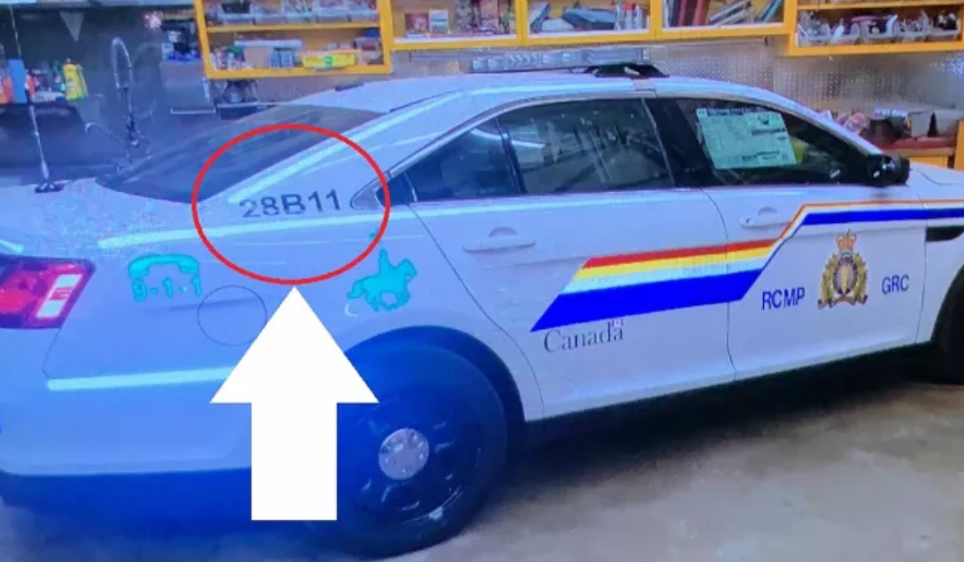 Homem armado fez pelo menos 18 mortos em “maior massacre de sempre” no Canadá