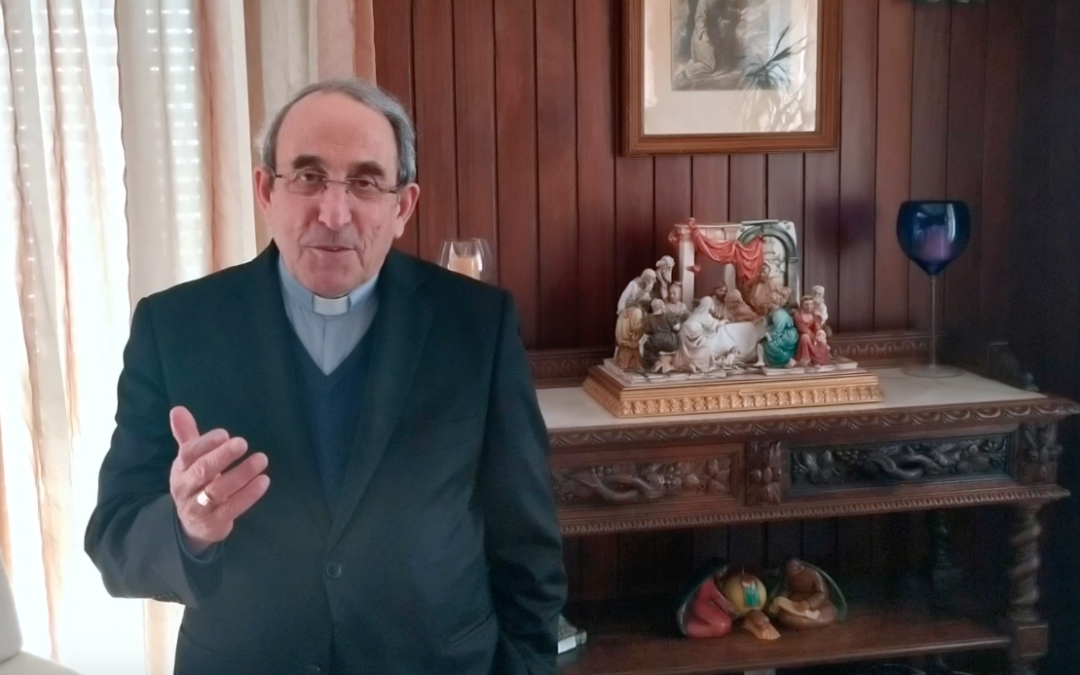 Semana Laudato Si’ (9): Exigências para o equilíbrio ecológico (e agora vem aí um ano Laudato Si’)