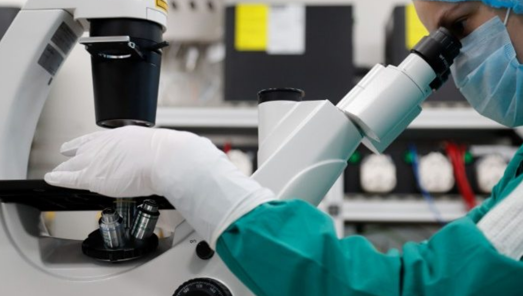 Igreja Católica contesta alteração da lei de biotecnologia na Noruega