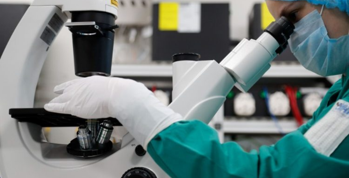 lei biotecnologia noruega, Foto Vatican News sem creditos lei biotecnologia noruega, Foto Vatican News sem creditos