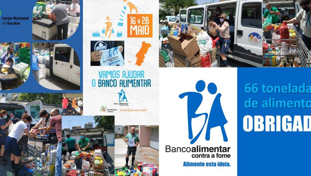 Escuteiros angariaram 66 toneladas de alimentos para o Banco Alimentar Contra a Fome