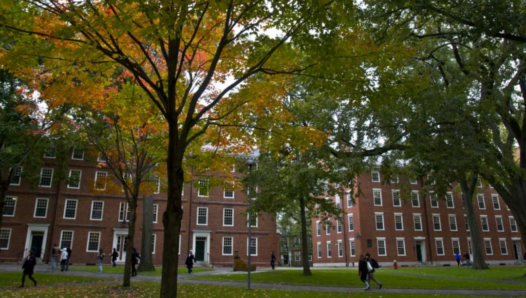 Líderes religiosos e universidades contra decisão de Trump de deportar estudantes internacionais