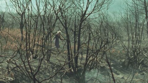 filme O que arde
