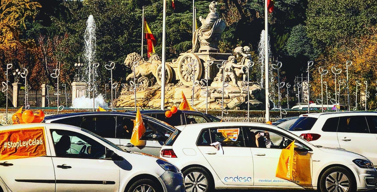 manifestacao lei celaa espanha mas plurales manifestacao lei celaa espanha mas plurales