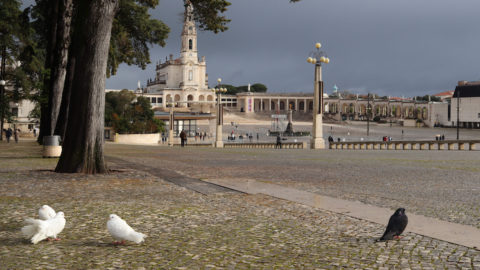 Fátima, 2020