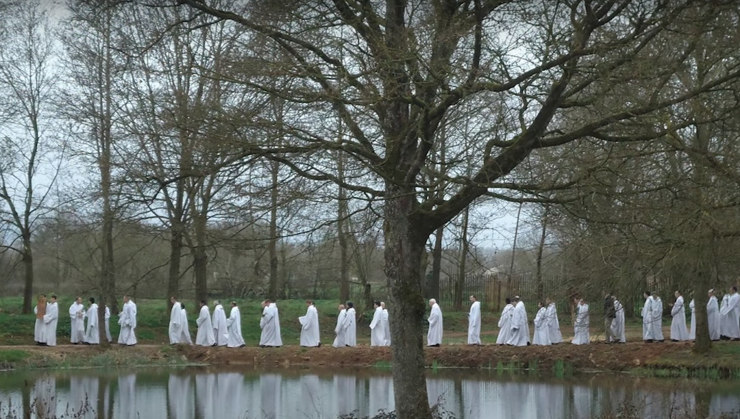 Meditação de Taizé para o Domingo de Ramos: entrar de jumento, um símbolo de paz