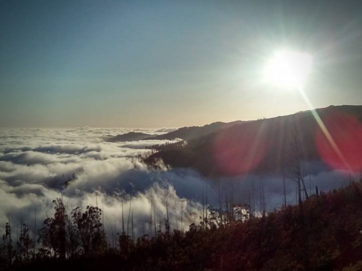 Ilha da Madeira. © Tiago Gonçalves Paulino