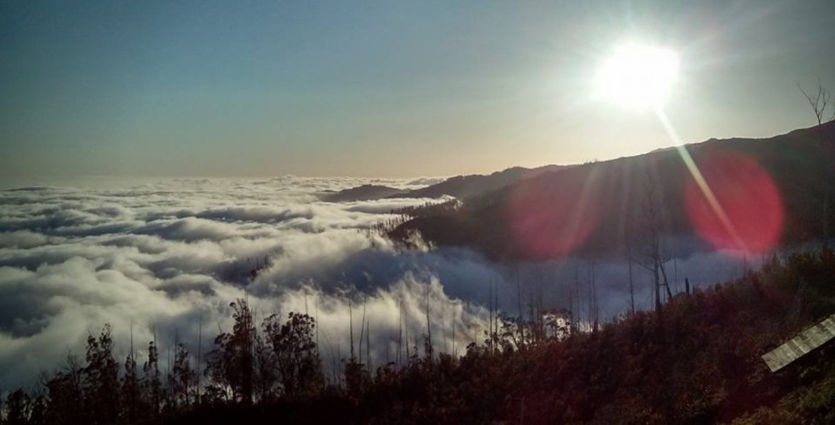 Ilha da Madeira. © Tiago Gonçalves Paulino