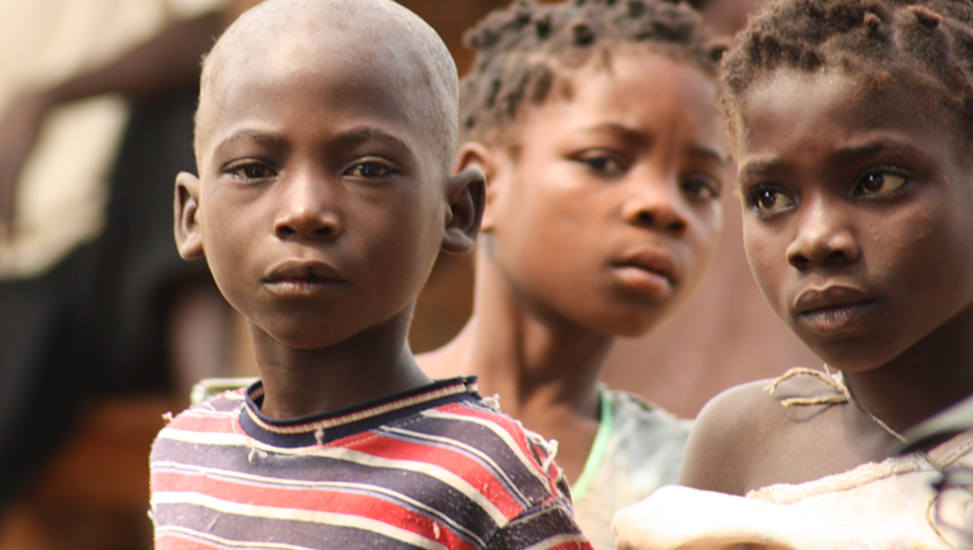Solidariedade com Cabo Delgado (5): Oikos, integrar os deslocados enquanto tarda uma solução política