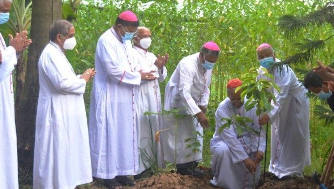 Papa lança Plataforma Laudato Si’, plano de sete anos para dar à Igreja uma consciência e planos ecológicos