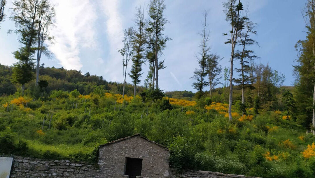 Franciscanismo na Europa do Sul em seminário científico aberto