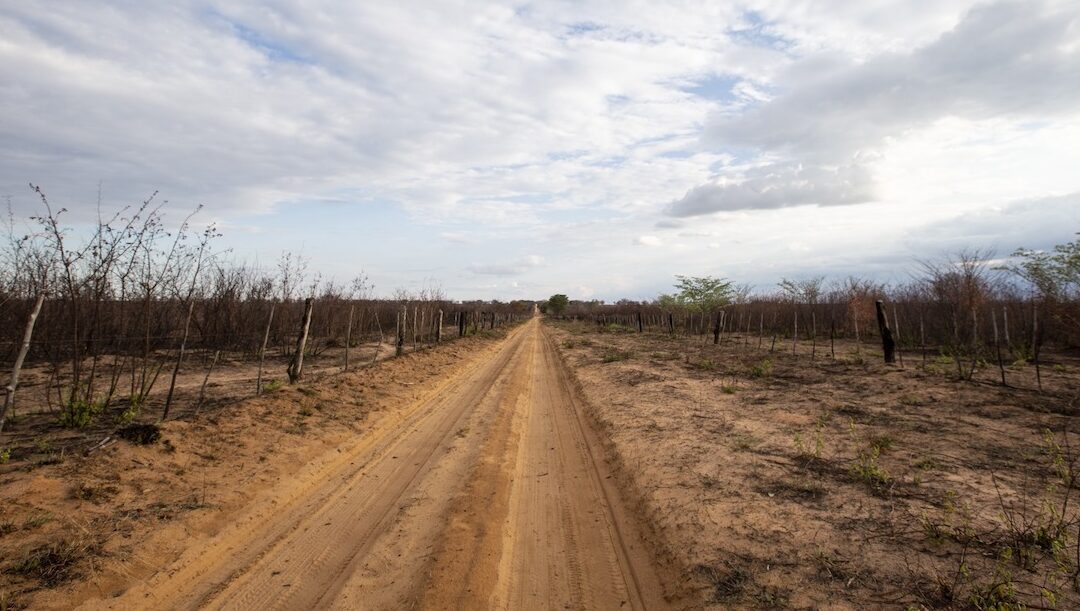 Seca afeta milhões em Angola, que fogem das suas casas