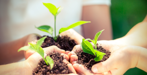 Vaticano lança curso de Ecologia Integral online e em inglês Cópia de plantar cuidar planeta terra foto c yaruta