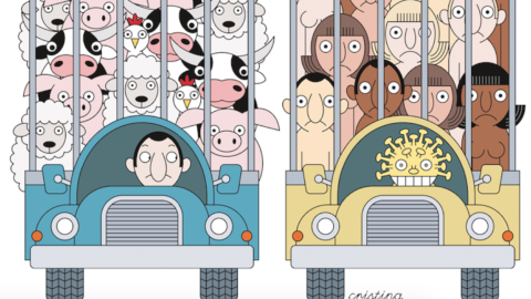 Confinamento, Cartoon, Cristina Sampaio