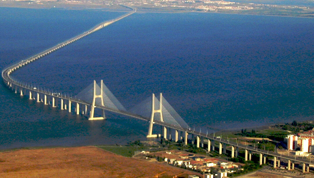 JMJ 2023 quer ser ecológica e ajudar a criar “um novo parque verde”
