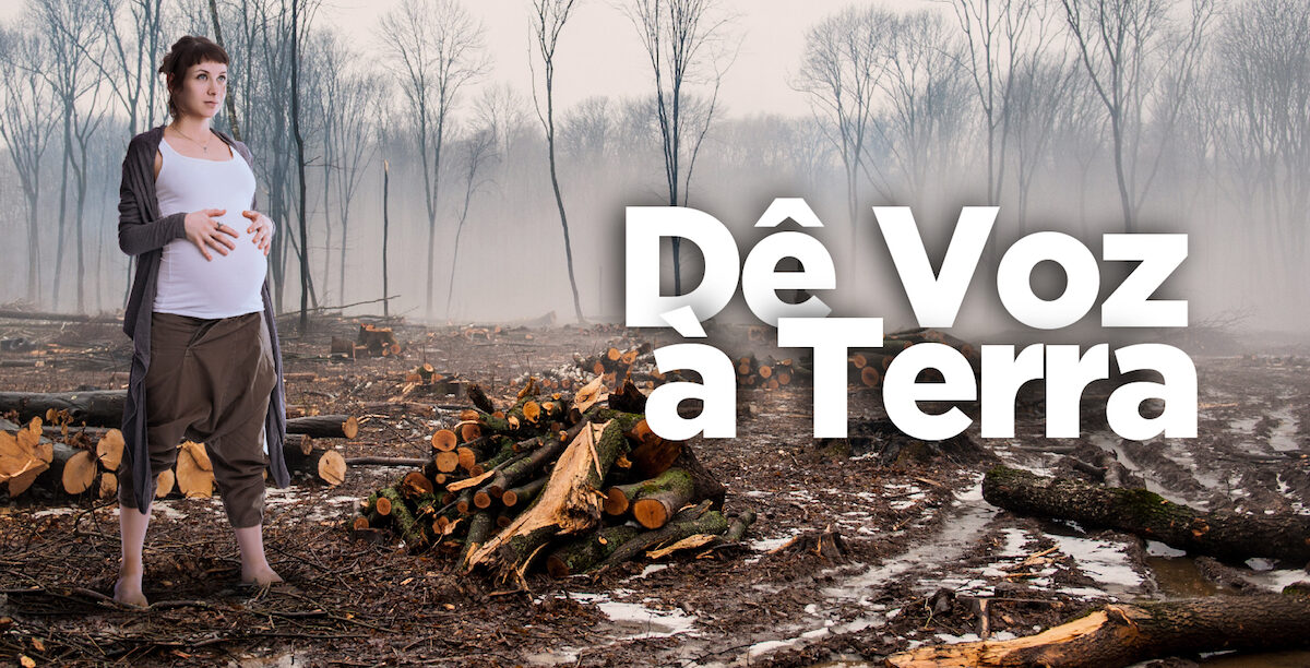 petição católica cop 26