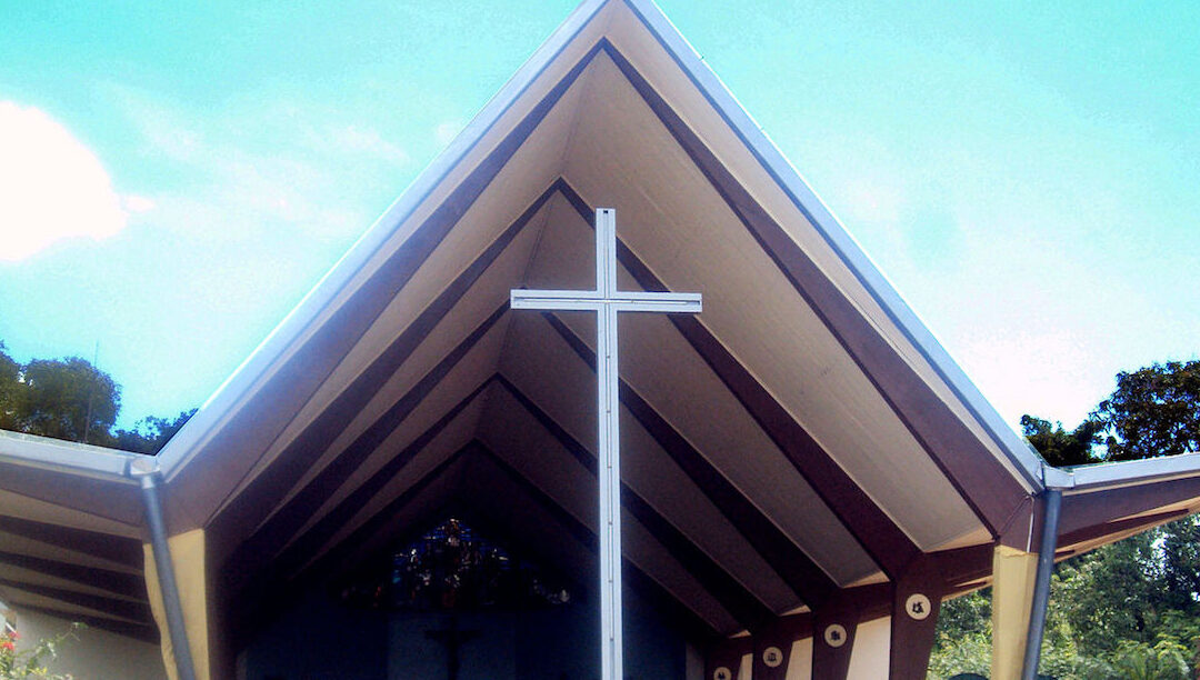 Igreja Católica do Gana vai plantar um milhão de árvores