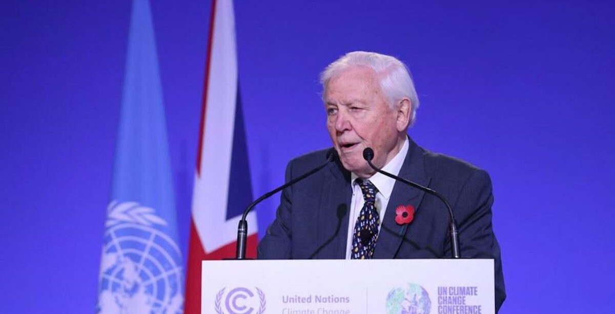 sir-attenborough-at-the-opening-ceremony-of-cop26