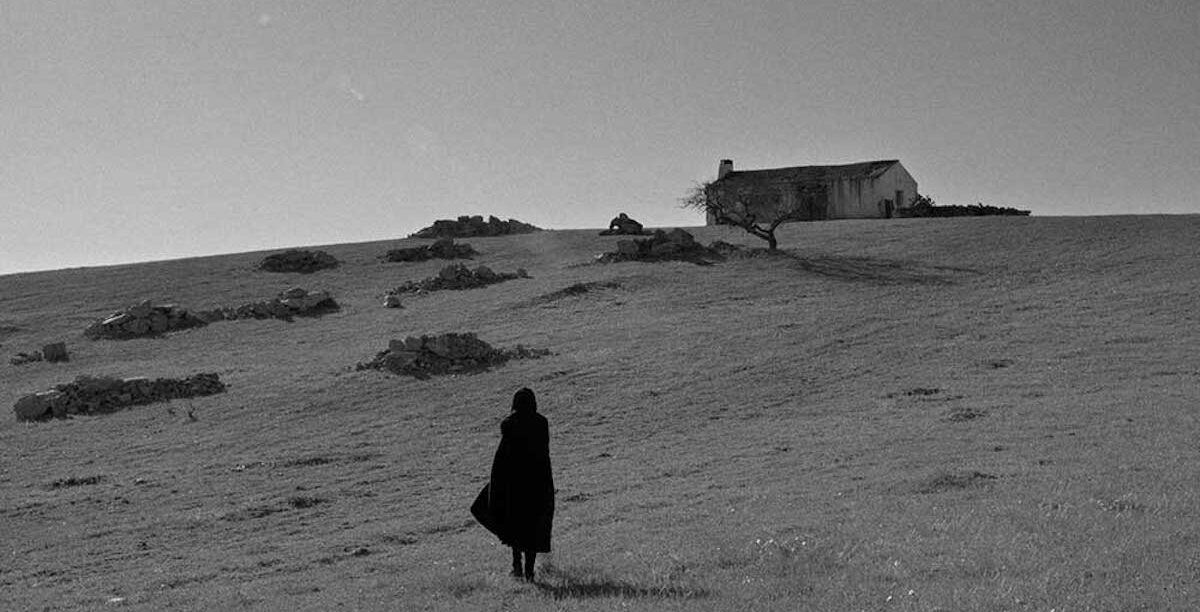 Raiva Sérgio Tréfaut 02