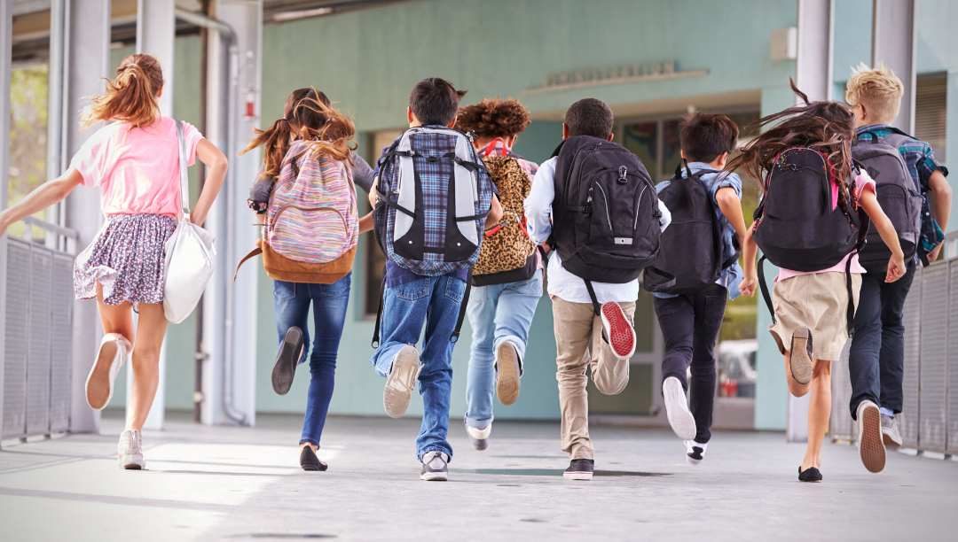 Educação inclusiva em Portugal: “melhorias históricas”, mas ainda muito a fazer