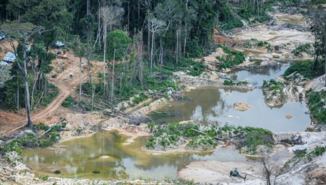 Bispos brasileiros denunciam aumento de violência contra os Yanomami