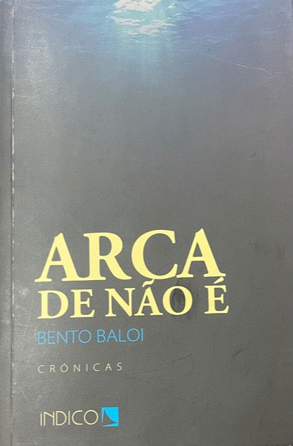 Capa livro Sara L