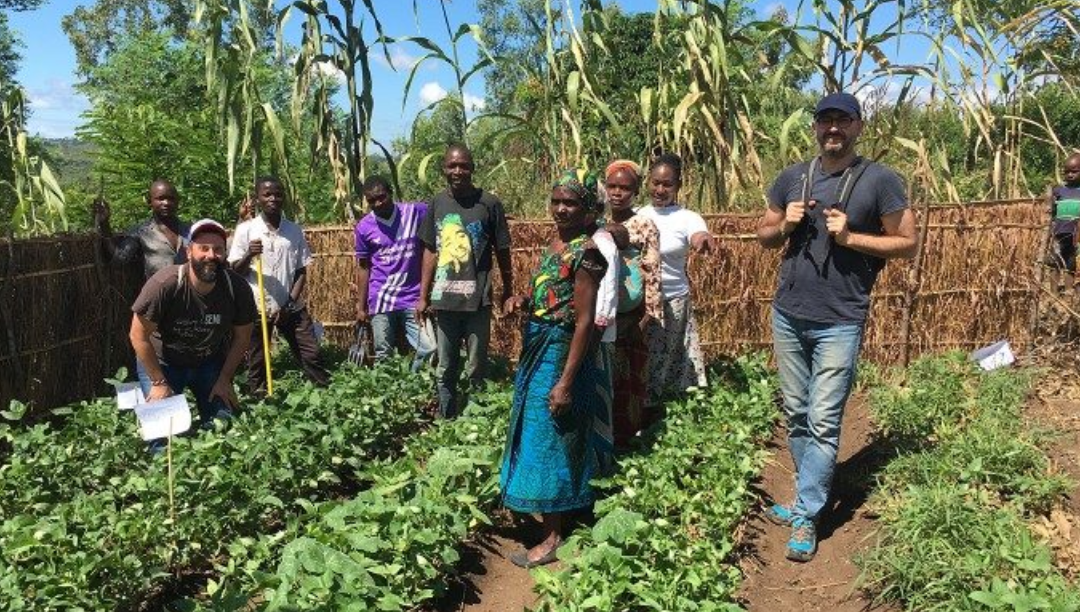 Como 60 hortas biológicas estão a ajudar os pobres e doentes de sida no Malawi