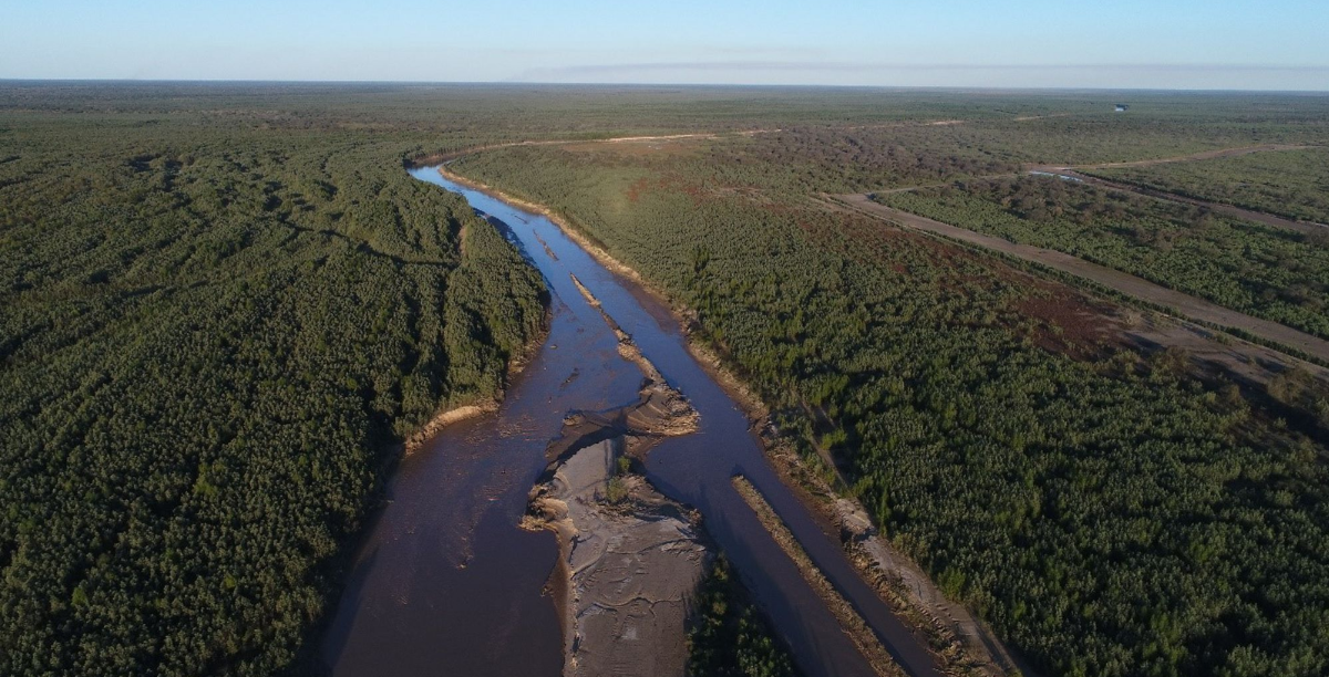 vista aerea do Gran Chaco, foto c Proyungas via The Nature Conservancy (1200 × 612 px) vista aerea do Gran Chaco, foto c Proyungas via The Nature Conservancy