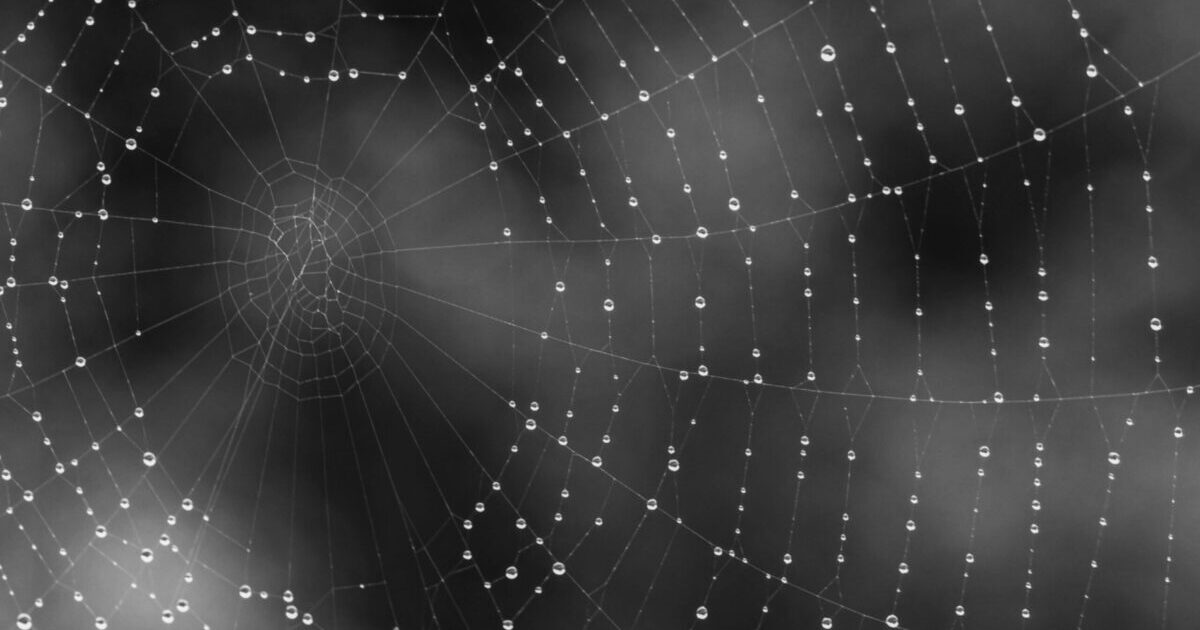 1CDE3483-FA43-4355-8E16-A5E1F53C64E8